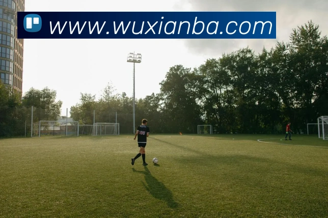 nba投注网站平台生态图